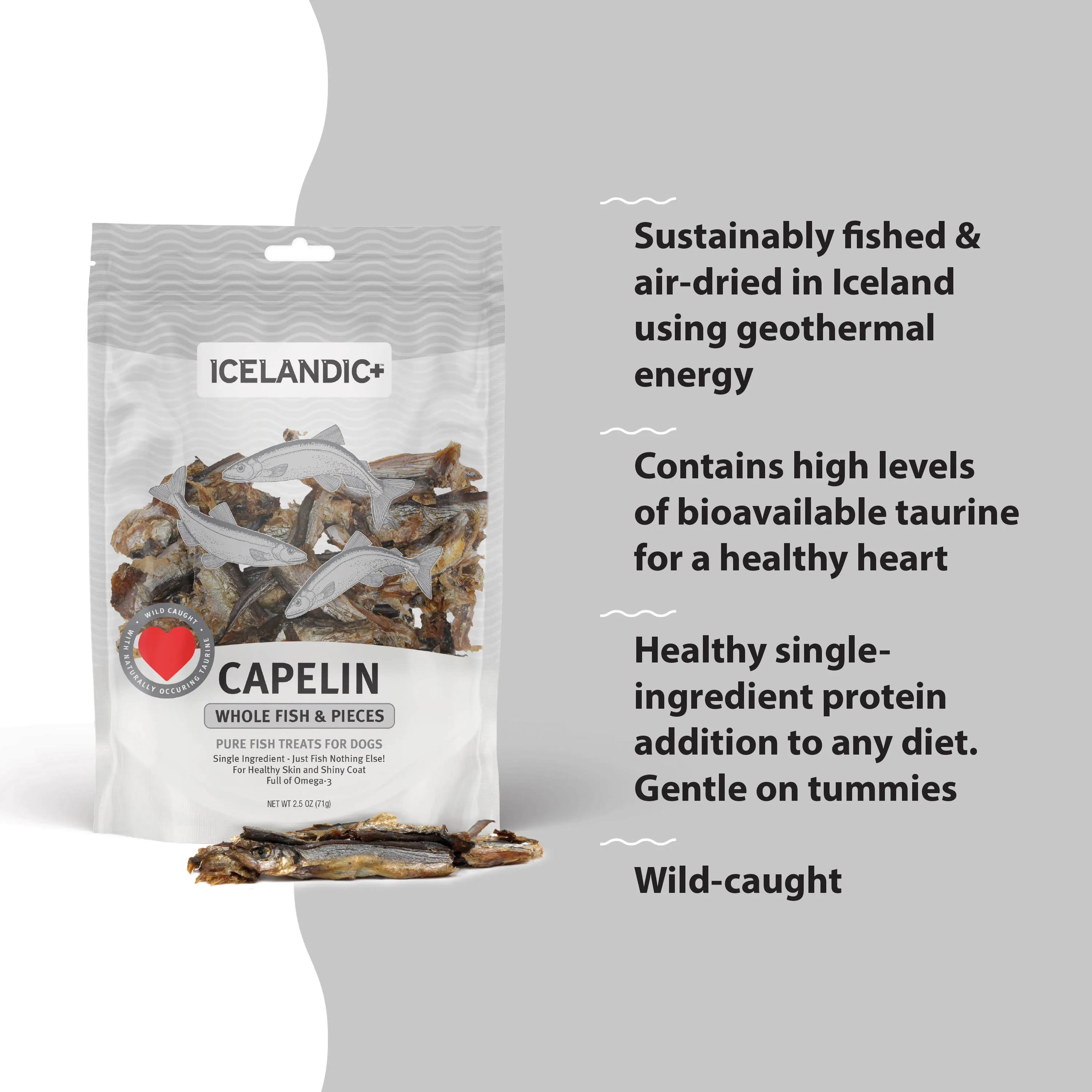 Icelandic  Capelin Whole Fish & Pieces Dog Treat: 2.5-oz Bag